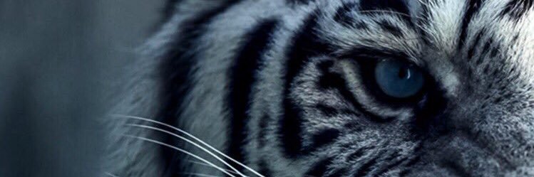 sultan3aa's profile banner image
