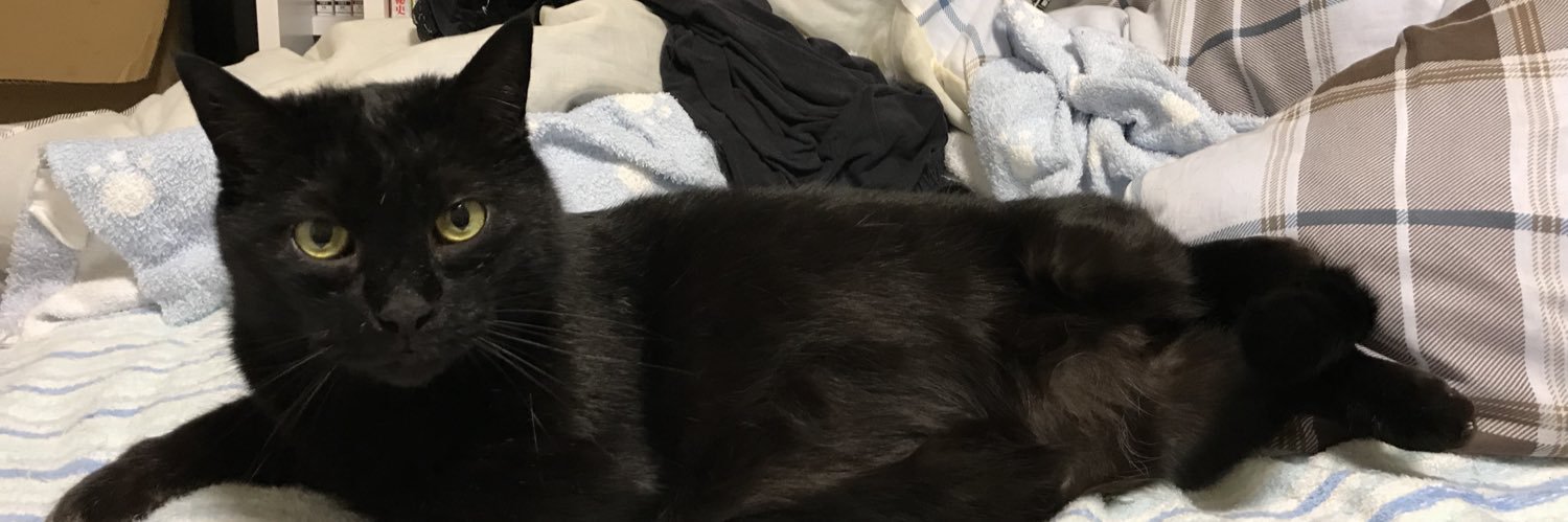 にゃーば@マイクラ楽しい banner