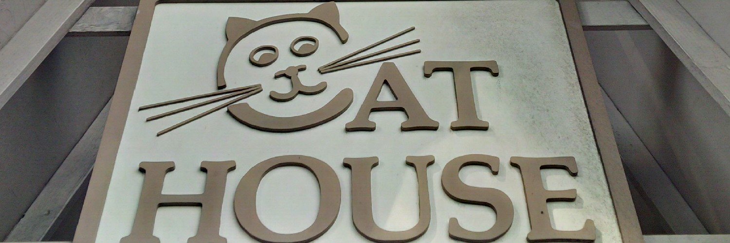 theCryptoCatz's profile banner image