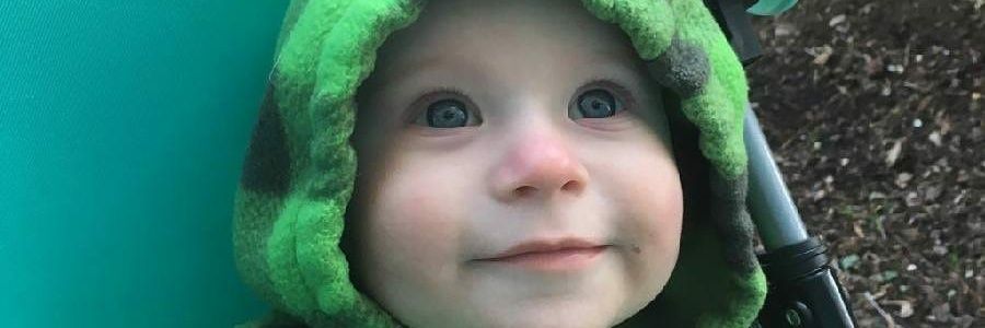 BirbDogGramma 💚 banner