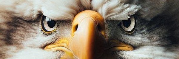 realstand4truth Profile Banner