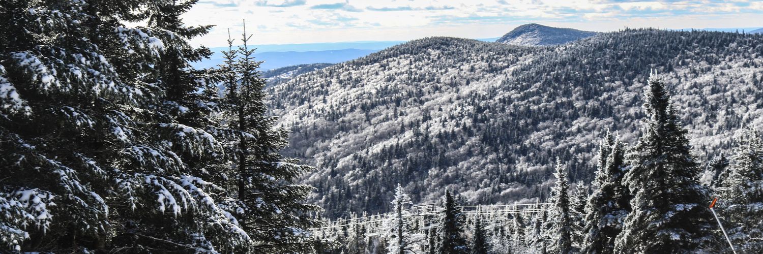 Mount Snow banner