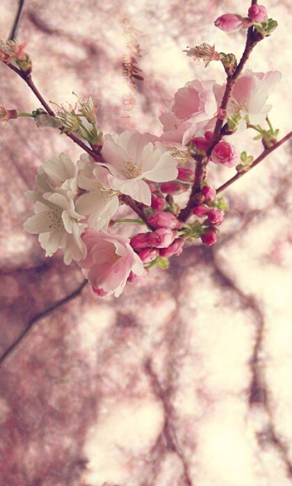 p_yunhee's profile banner image