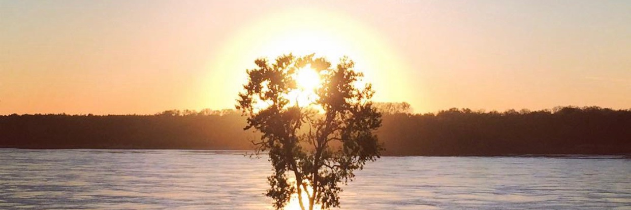 MorningAnthem's profile banner image