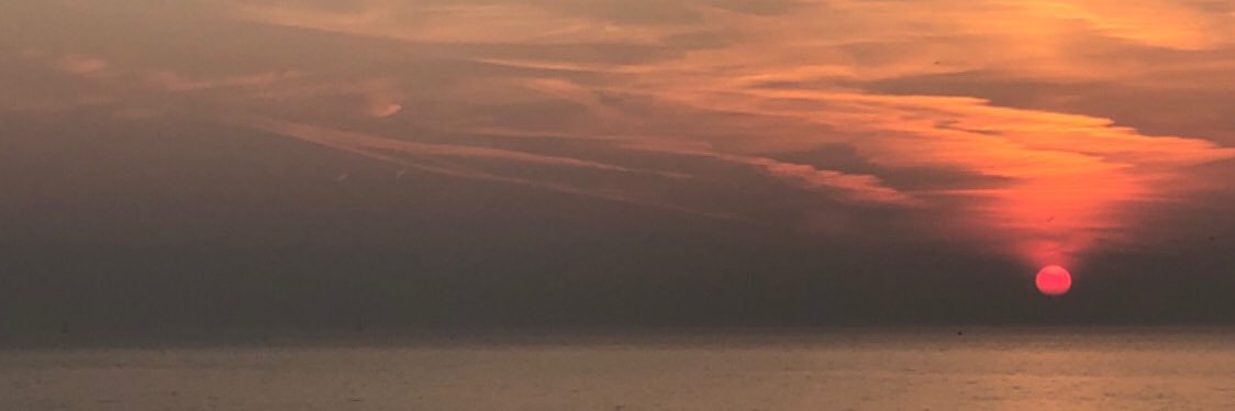 vinefed's profile banner image