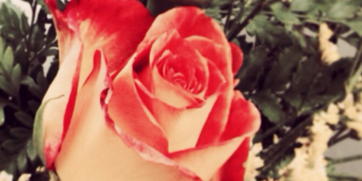 erinb_isme's profile banner image