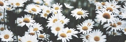 corinnejic's profile banner image