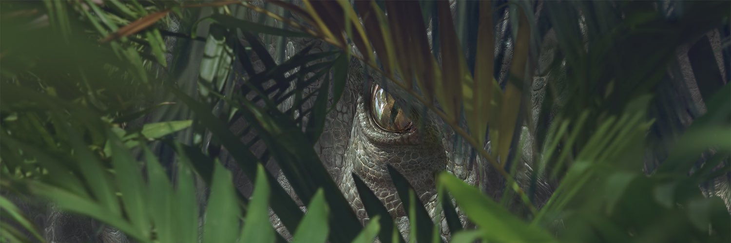 ainaptrfdl's profile banner image