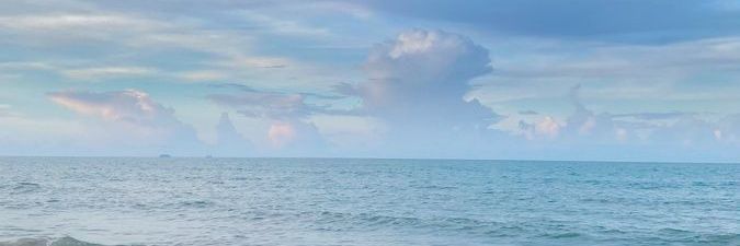 juliajune_o's profile banner image