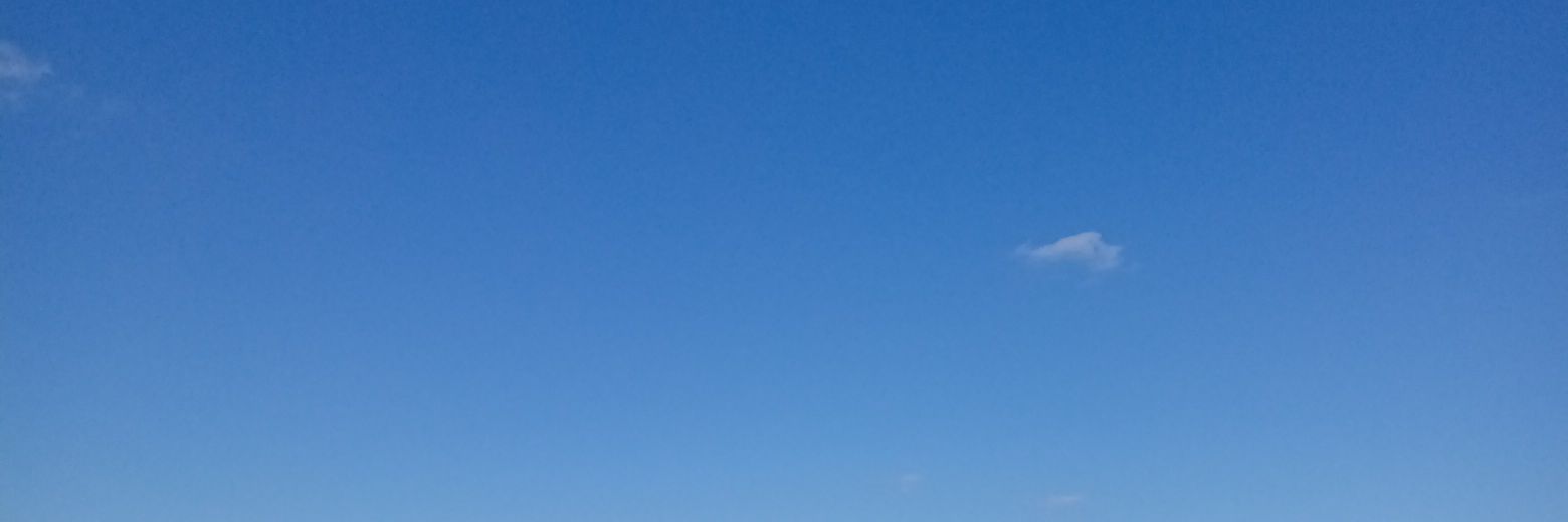 たろすけ banner
