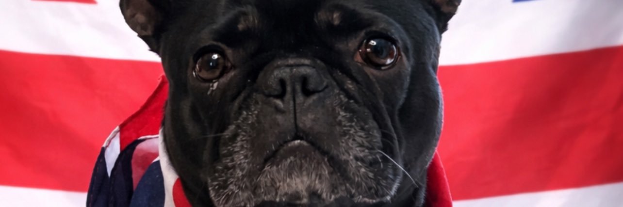 Jane Thompson banner