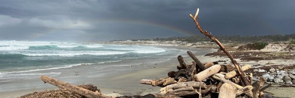 chanoh_oh Profile Banner