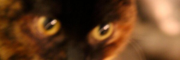 MatteFinished Profile Banner