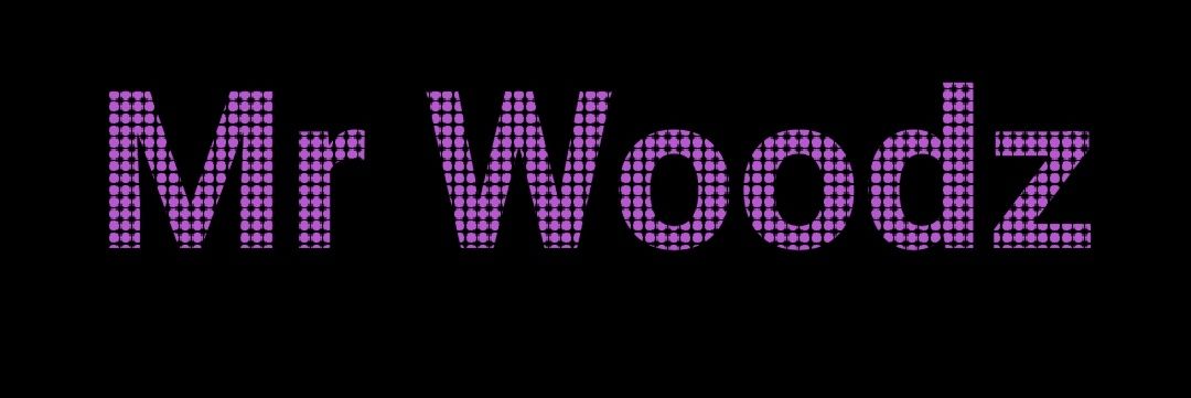 Mr Woodz banner
