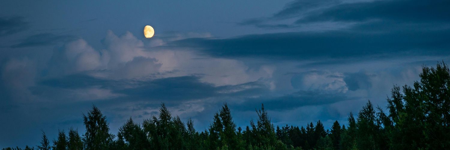 latebird27's profile banner image