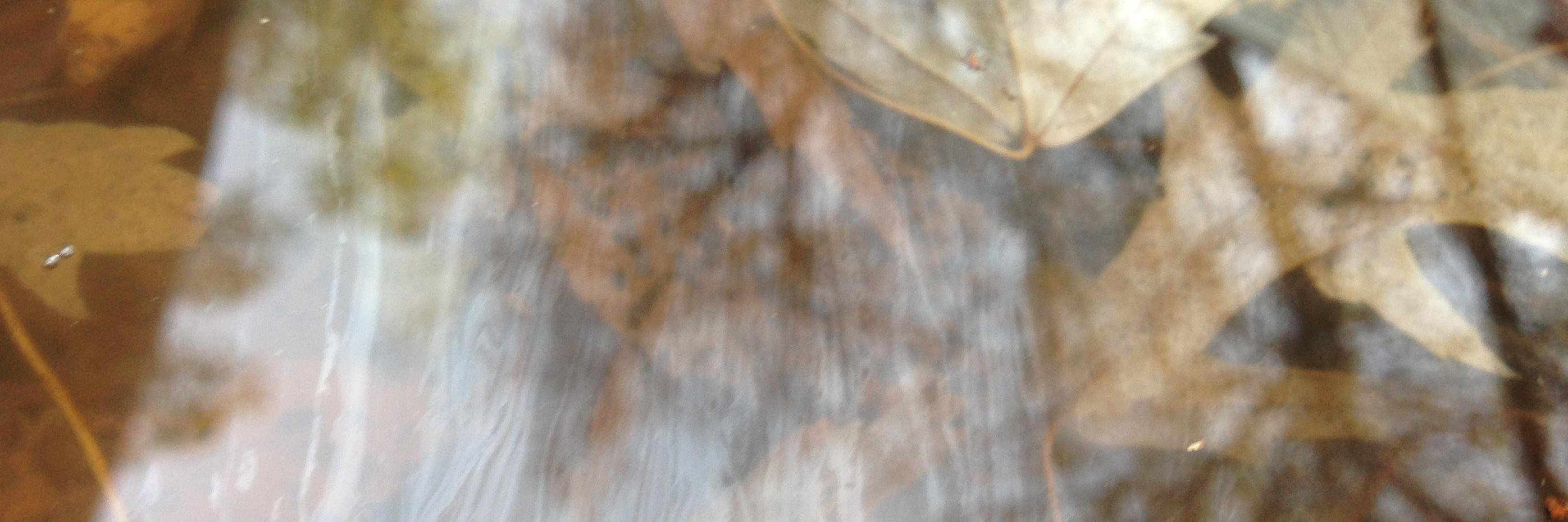 Das Creativeness banner