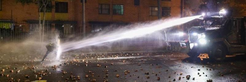 BUZZARD WITCH PEDIGREE banner