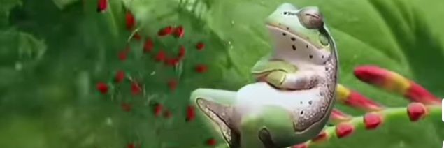 GreenNaorem123's profile banner image