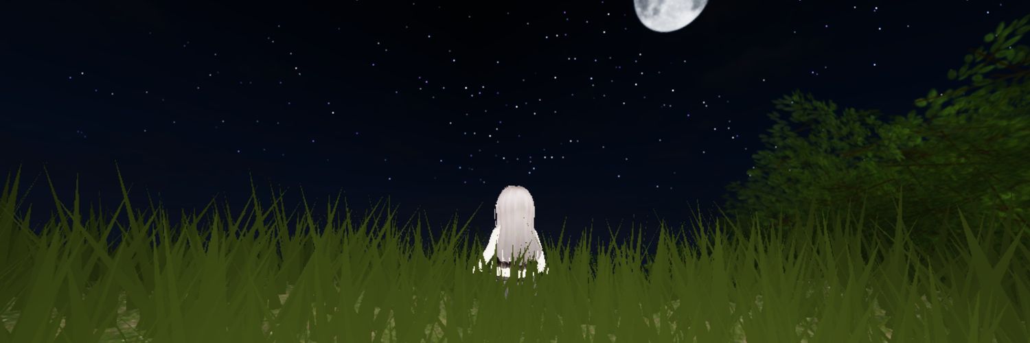 ae banner