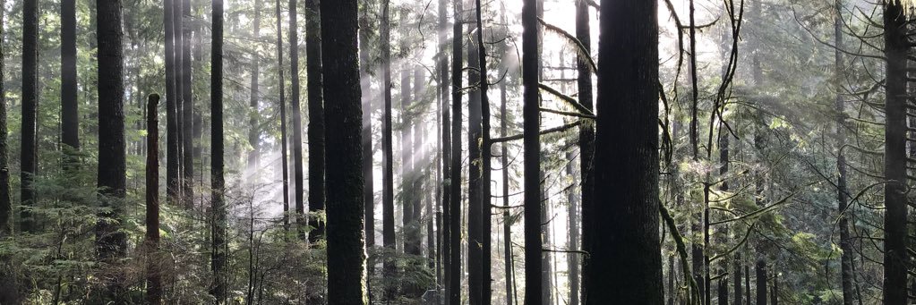 GlenTurpin's profile banner image