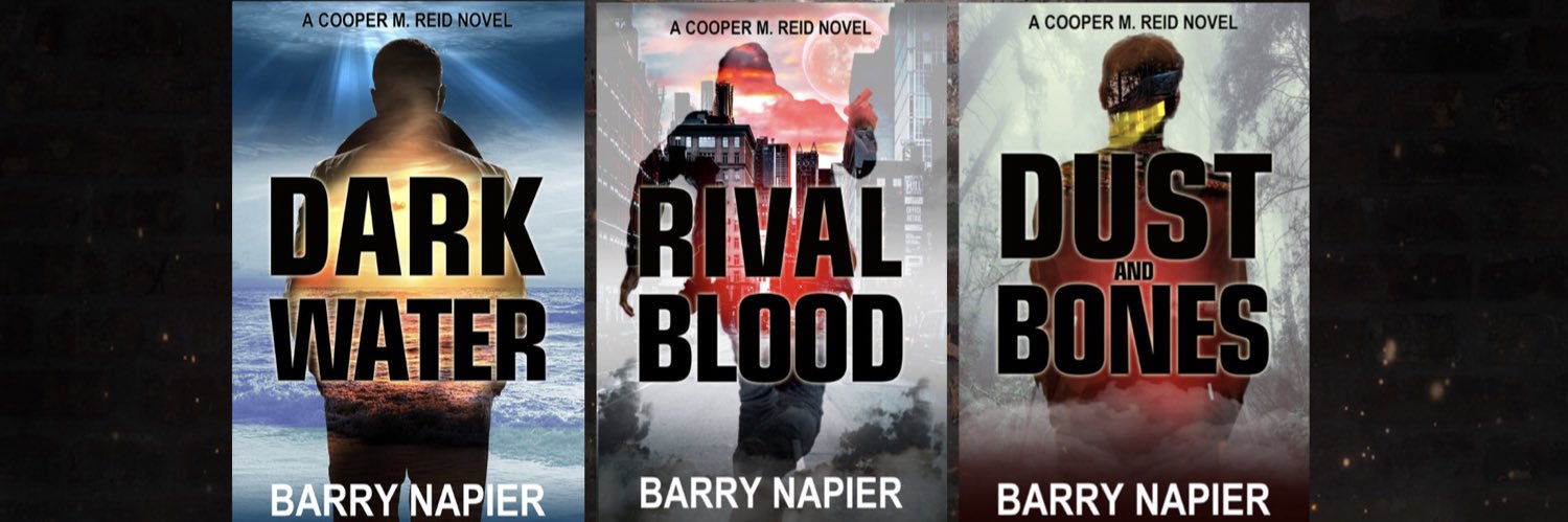 bnapier's profile banner image