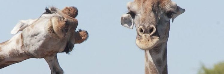 Oo_john0108 banner