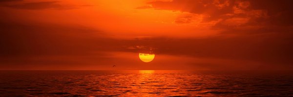 SciFrTheFringe Profile Banner