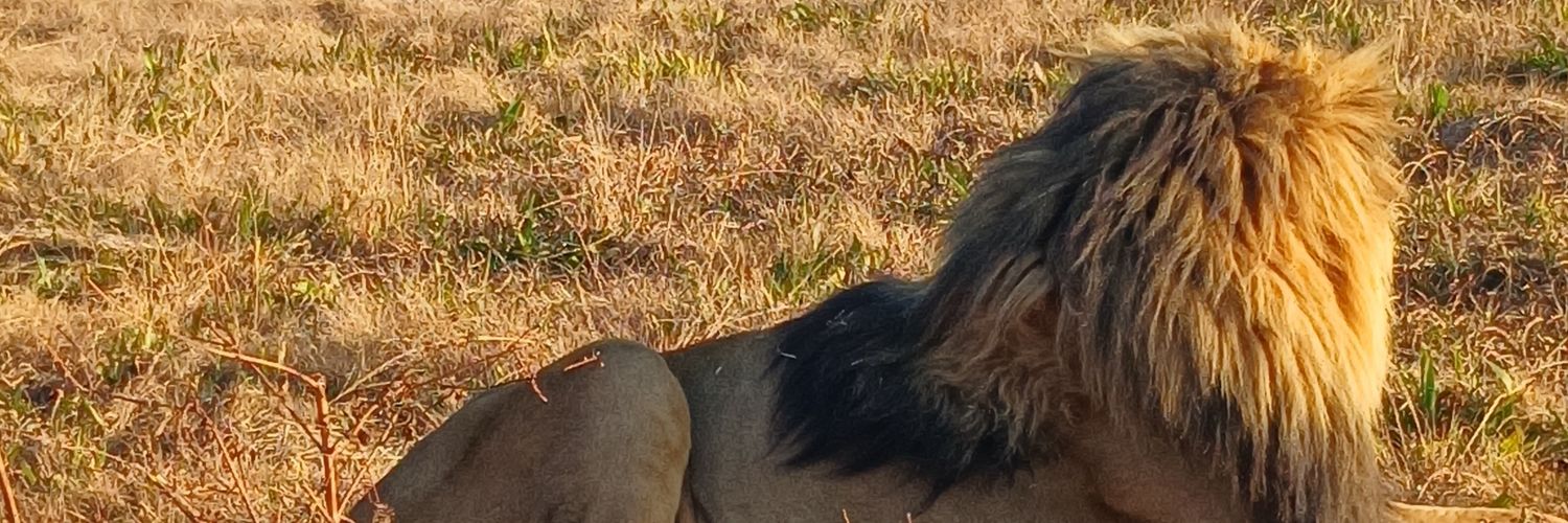 Dee_oritval's profile banner image