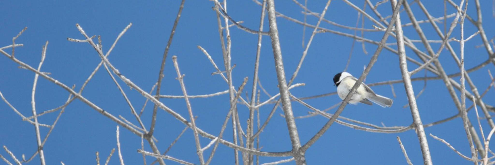seaglassheart's profile banner image