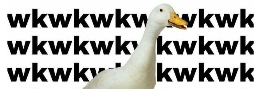 🪿 a yapper g(wu)se banner