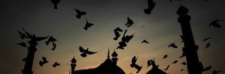 salmaa__adel's profile banner image