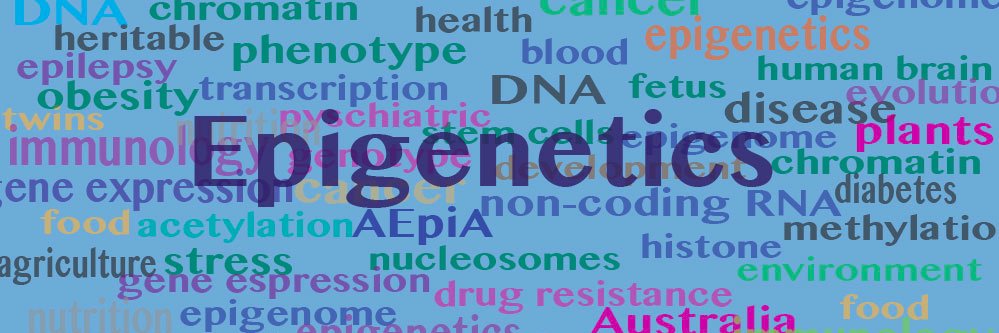 Australasian Epigenetics Alliance's banner