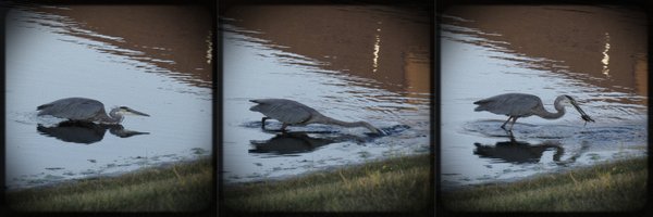 MillzoMan Profile Banner