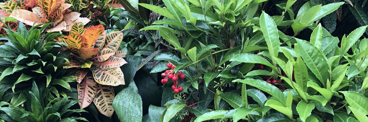 farahjenna's profile banner image