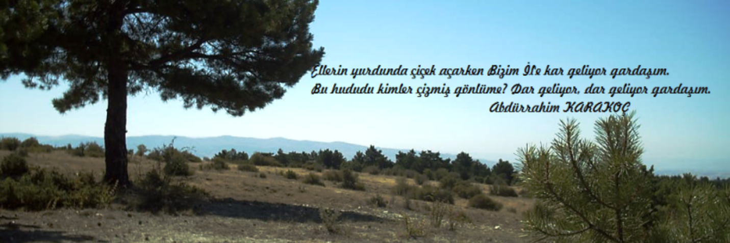 Necati ŞİMŞEK banner
