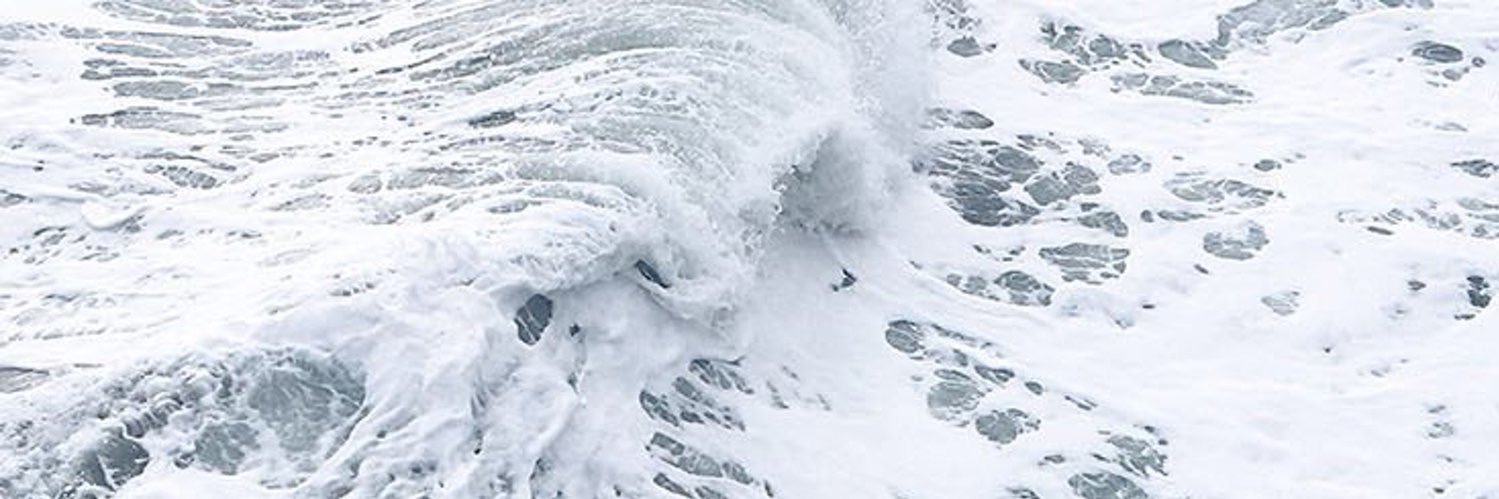 Julia_Parri's profile banner image