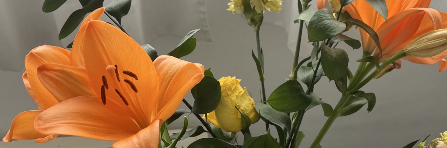 ceci banner