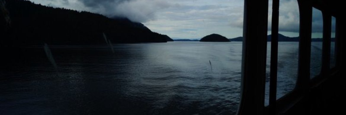 mayبe 若花 banner