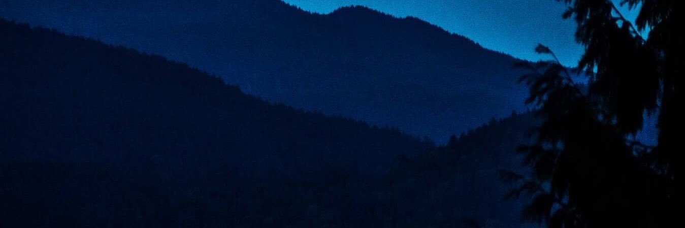 ColleenDann's profile banner image