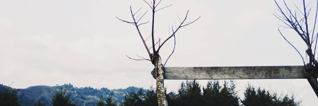 ressaorysa's profile banner image