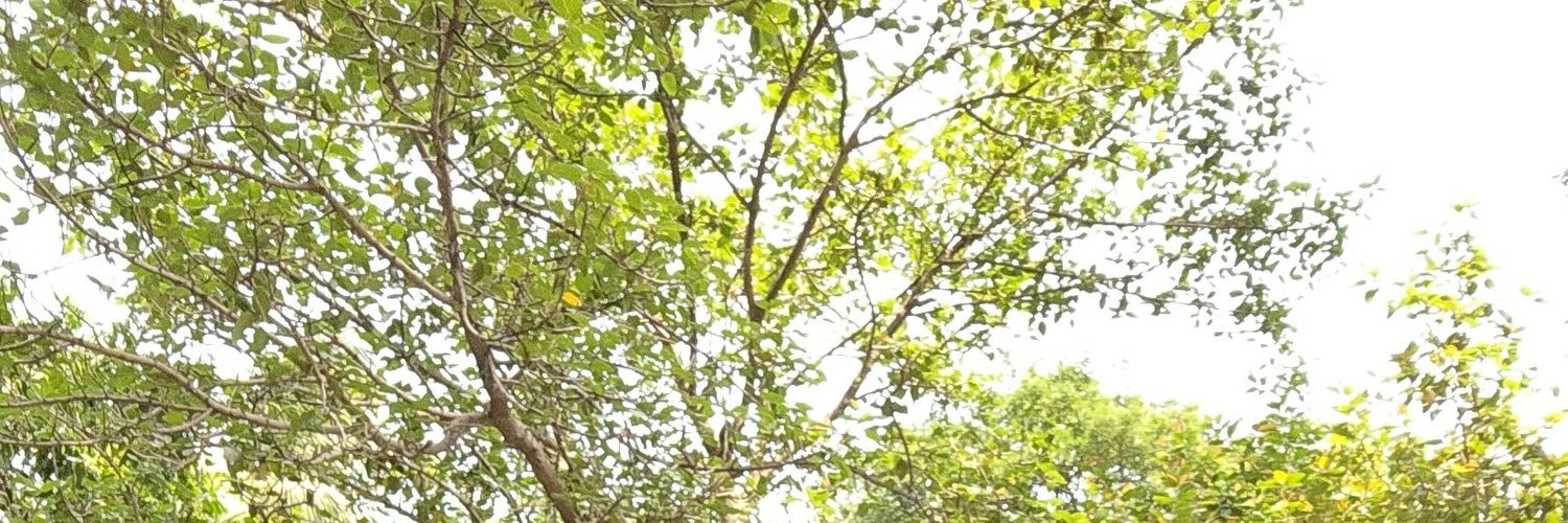 RKM1111111's profile banner image