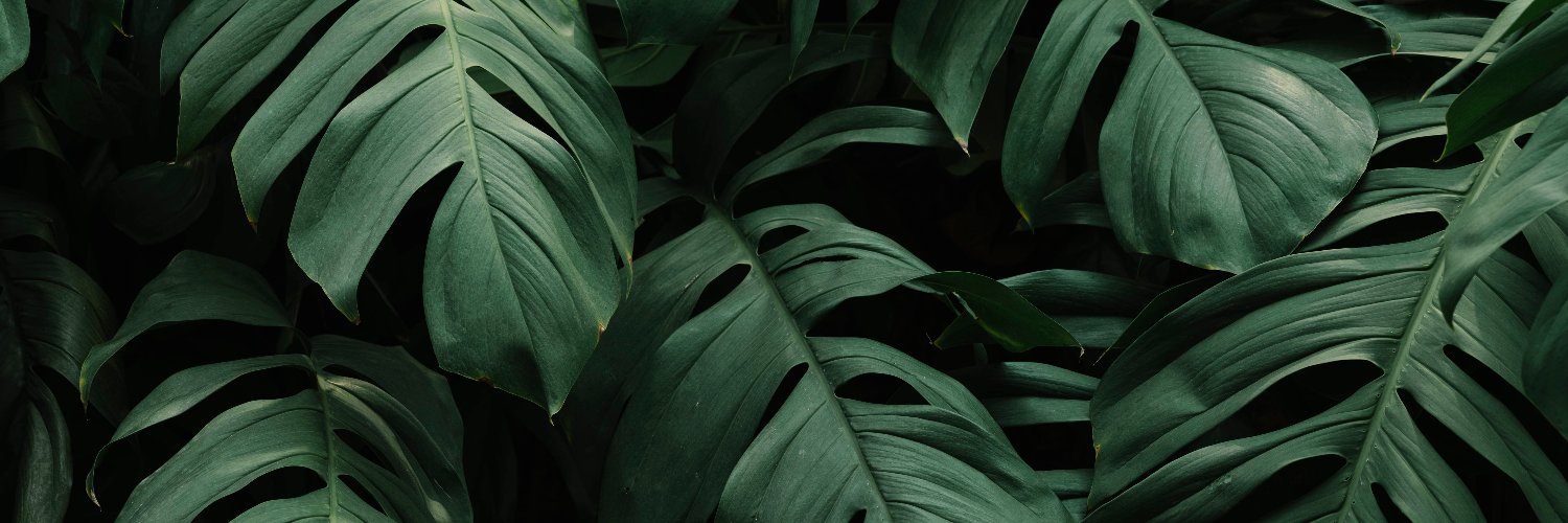 unbaxt's profile banner image