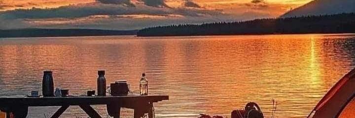 75285Mahmoud's profile banner image
