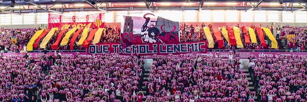 SapoDelBarris Profile Banner