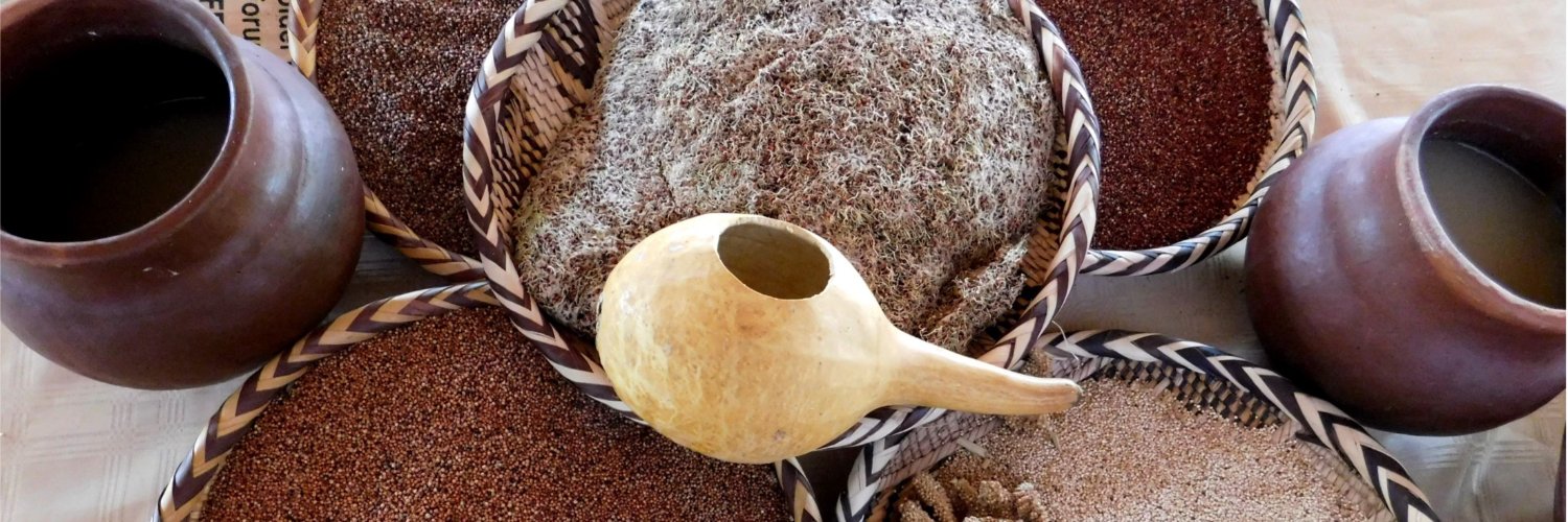 Seed and knowledge banner