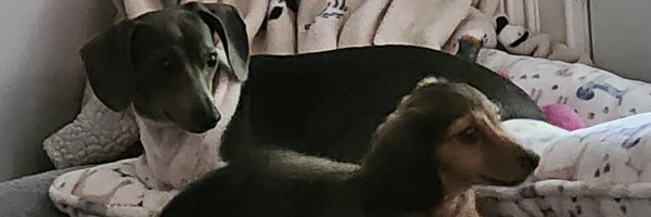 LovedOnlyOne Profile Banner