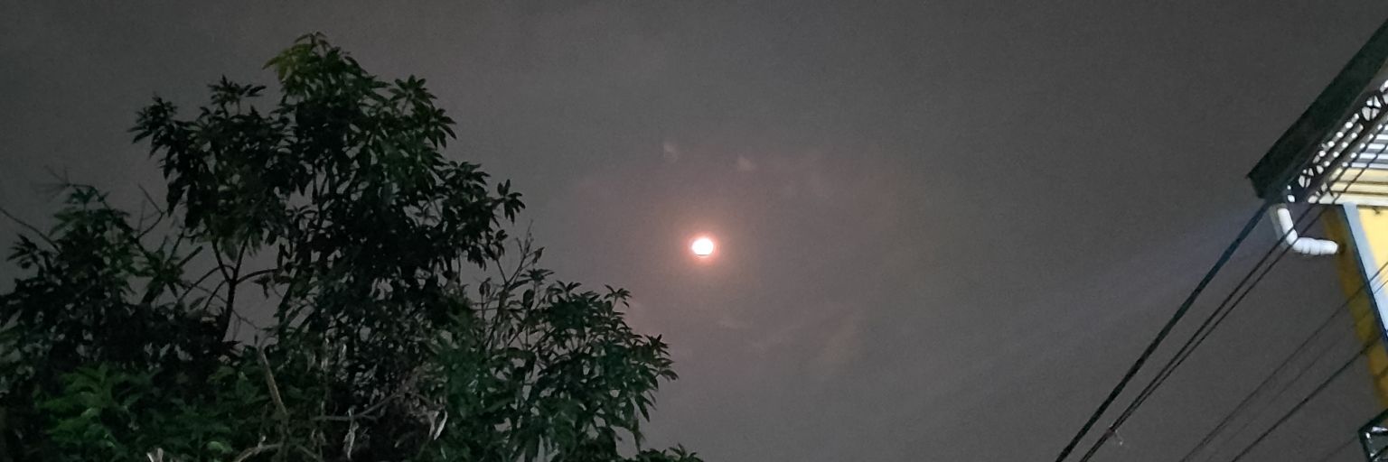 berrychandra9's profile banner image