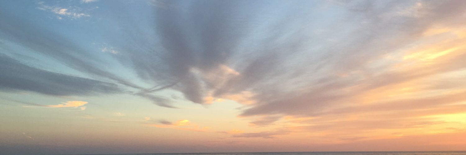 Pjaries's profile banner image