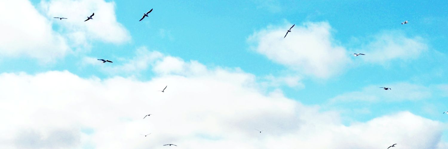 たべものばかり(たベリー🫐) banner