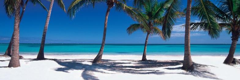 Lyfe✨ 🇺🇸 banner